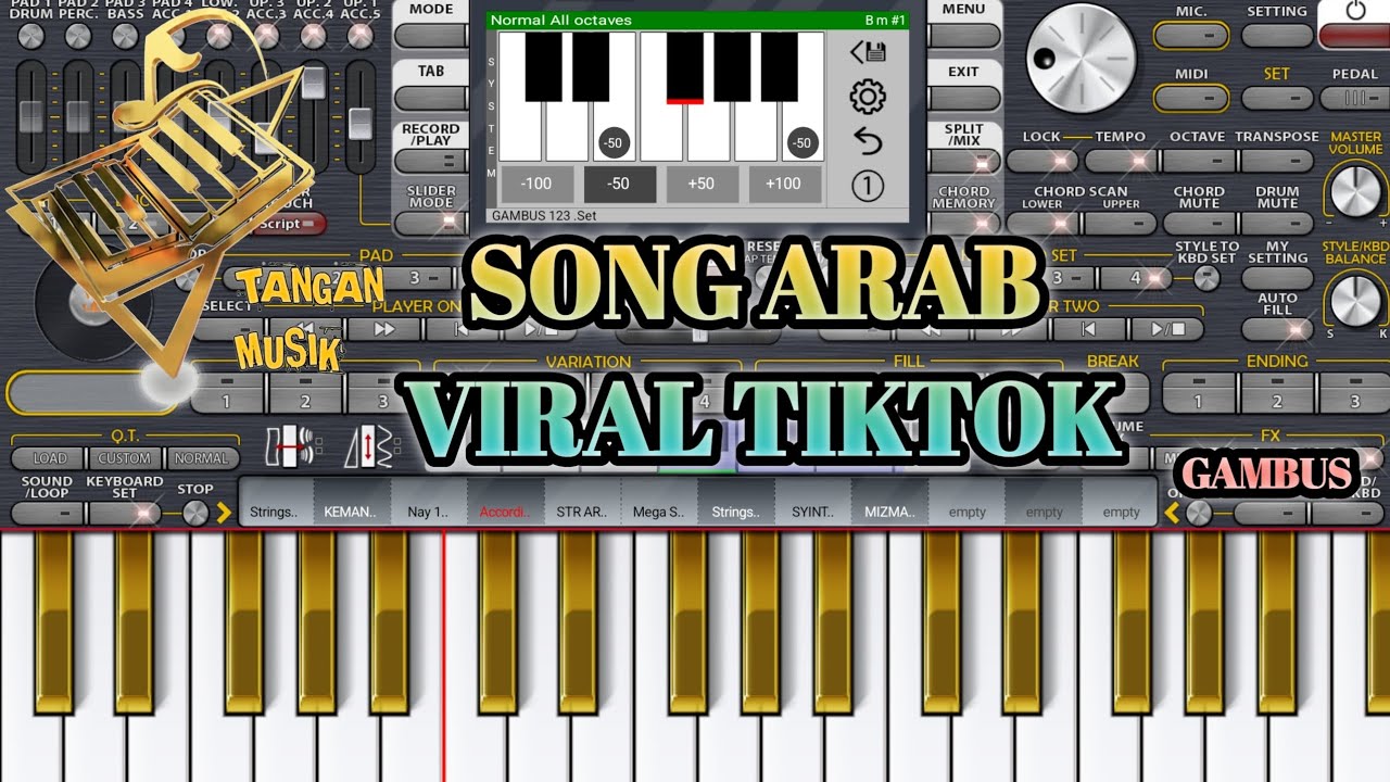 LAGU ARAB VIRAL TIKTOK TERBARU _ SET ORG GAMBUS ARABIC 📍