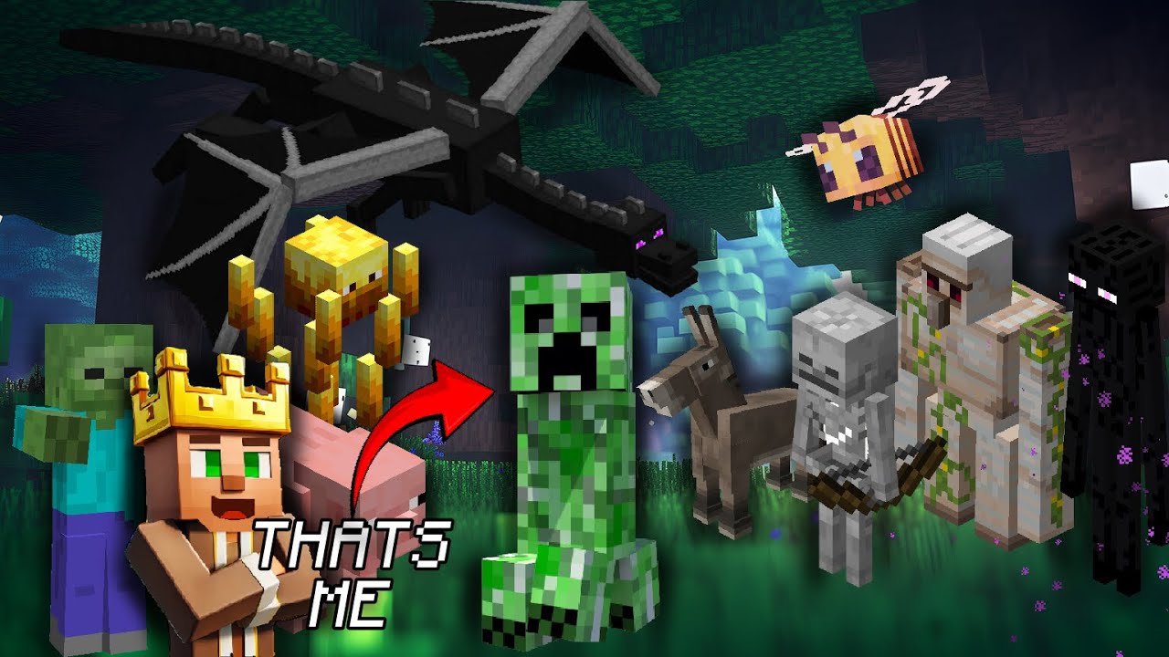 Beating Minecraft As EVERY MOB - YouTube