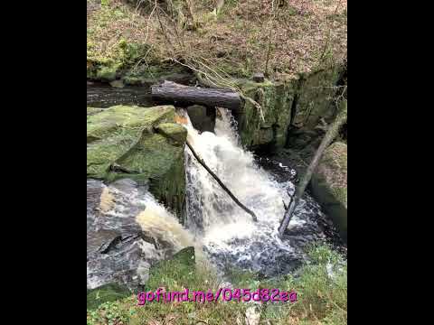 Hareshaw Linn #travel #landscapesofbritain #nature #northumberland