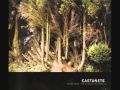 Castanets - No Trouble