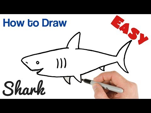 How to Draw a Shark Easy Step by Step