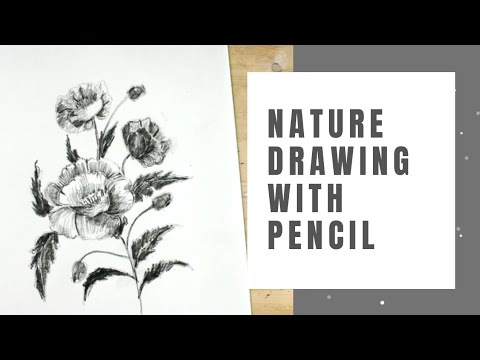 Nature Study Drawing | Tree trunk Drawing with Shading | #artbyduasheikh -  YouTube