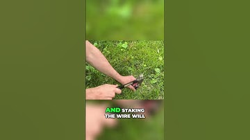 The Ultimate Robot Lawn Mower: Easy Setup, Great Software, and Superior Cut Quality