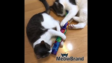 Kitty Kick Stix - Best Catnip Kick Toy