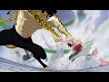 Luffy vs lucci amv animals maroon 5  phoenix fall out boy