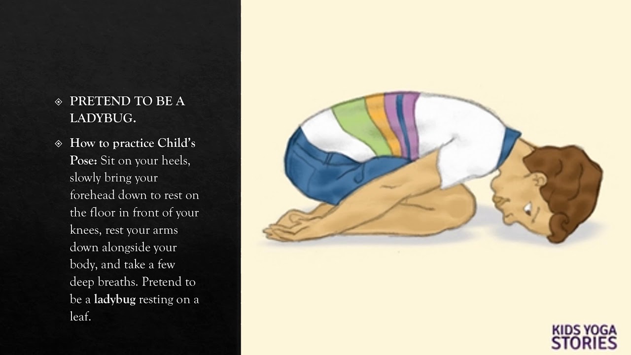 Insect and Bug Yoga YouTube