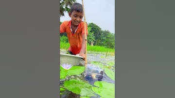 Amazing boy fishing with bottle trap #fishing #fishtrap #shorts