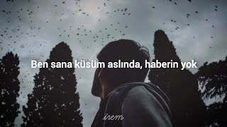 Suzan Hacıgarip - Yol Arkadaşım (lyrics/sözleri) Resimi