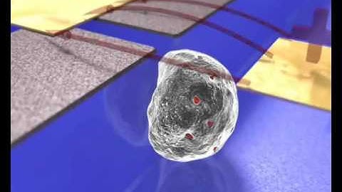 Design, fabrication and cell-handling of microfluidic device for single cell electroporation
