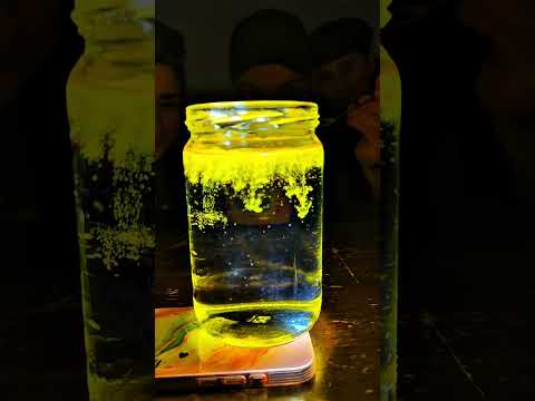 كريم وخلودة عملوا ترند الكركم والمي