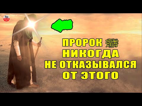 ПРОРОК ﷺ НИКОГДА НЕ ОТКАЗЫВАЛСЯ ОТ ЭТОЙ ВЕЩИ! КАКИЕ ЦВЕТА НЕЛЬЗЯ НОСИТЬ МУСУЛЬМАНАМ?