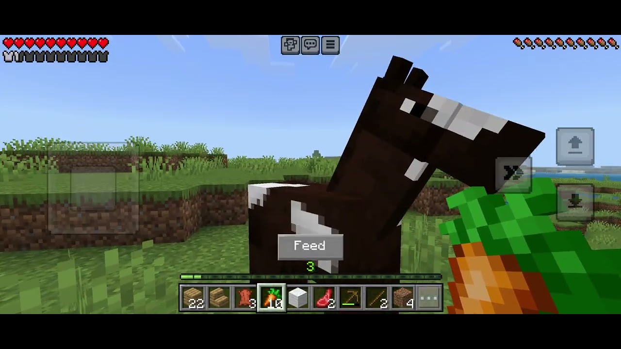 MINECRAFT TO THE END EP.3 