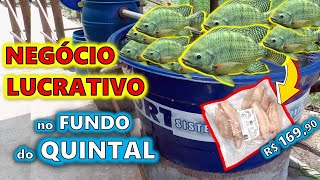 🐟 COMO FAZER um SISTEMA de CRIAÇÃO DE PEIXES EM CAIXA D'ÁGUA - AULA COMPLETA 🐟🐟🐟