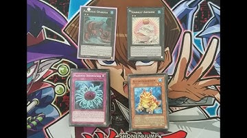 40 Card Paleo Frogs Decklist