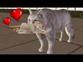 Симулятор КОШЕК #2 Белый котик против мышей и собак в Ultimate Cat Simulator с Кидом на пурумчата