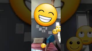 I Did Gymnastics On The Bed It Was Okay.