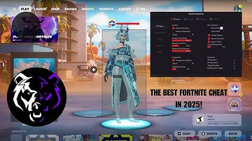 USING THE BEST FORTNITE CHEAT IN 2025! | Disconnect.WTF