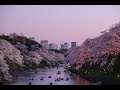 Токио  История  (Япония)