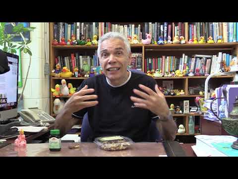 Dr. Joe Schwarcz on the science of selenium