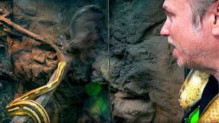 MOVING LOTS OF REPTILES INTO THE REPTILE ZOO!! FIRST SNAKE EGGS OF THE YEAR!!  | BRIAN BARCZYK