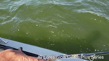 JB Lures Slow Death Plus Series