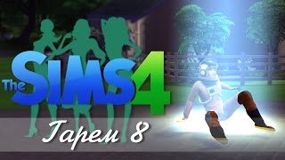 кража в симс 4 всяком случае