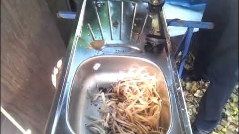 Using our Insinkerator as a Compost Companion in Germany, take 2