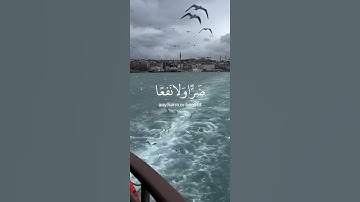 قرأن كريم ♡ | سورة يونس | قل لا املك لنفسي ضرا ولا نفعا | القارئ عبد الرحمن مسعد | كروما سوداء