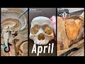 Human Anatomy TikTok Compilation | April 2020 | Institute of Human Anatomy