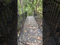 Pianist’s Garden