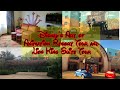 Art Of Animation Lion King Family Suite Art Of Animation Lion King Family Suite