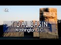 【4K】Washington D.C. Tidal Basin Memorials,  Virtual Walking Tour | 4k 60