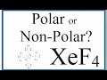 XeF4 Molecular Geometry and Polarity