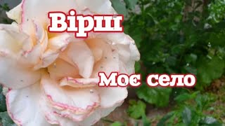 Поезія 💞 Таня Музика Остапович