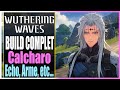 Guide build complet calcharo wuthering waves wutheringwaves projectwave