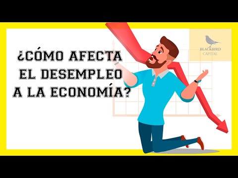 Video: ¿Cómo afecta el desempleo a la FPP?