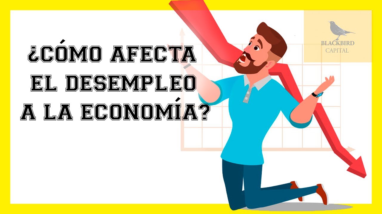 Continental Inodoro aquí ANÁLISIS MACROECONÓMICO ¿CÓMO AFECTA EL DESEMPLEO A LA ECONOMÍA? |  BLACKBIRD - YouTube