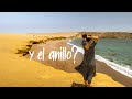 Las playas más LINDAS del Perú | Paracas