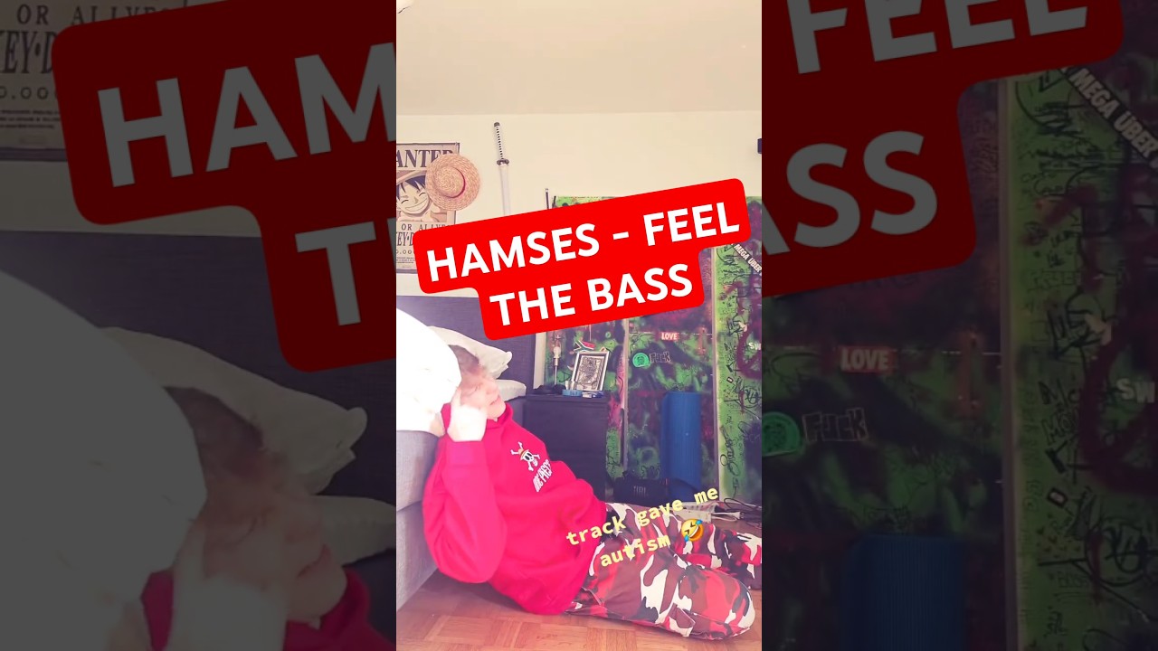 Track ID: Hamses - Feel the Bass i got wreckd when i heard it first time 🤣😁❤️🔥 