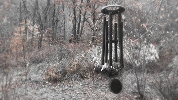 Chris Stack :: Usual Oracles - from the album Disambiguation