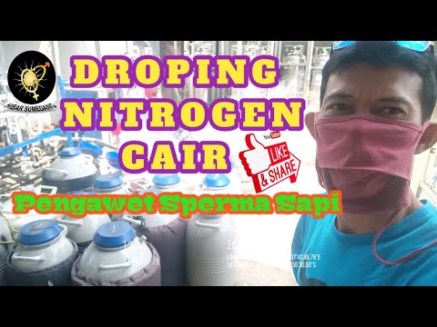 Video: Berapa biaya tangki nitrogen cair?