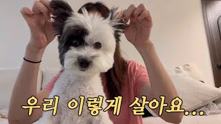 VLOG. 골반말고 입이 안멈추는 가을 밀착 취재 브이로그