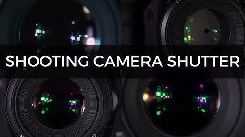 Shooting Camera Shutter Pack Stock Video
