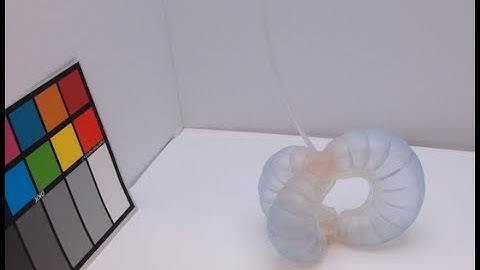 Color-Changing Soft Robots