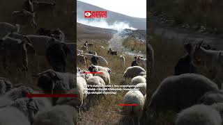 ԱԱԾ-ն մանրամասնել է հայ-ադրբեջանականսահմանի «Ներքին Խնձորեսկ» հատվածում տեղի ունեցած միջադեպը by Radio Aurora 303 views 2 weeks ago 1 minute, 42 seconds