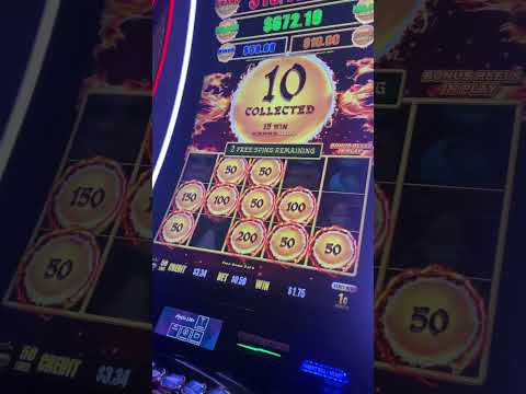 Experience the Thrill of Dragon Slots with Live Casino Games in English - Play Online in Australia