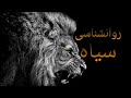 کتاب صوتی روانشناسی سیاه حوضه قدرت تاریک و جذب زنان موفقیت