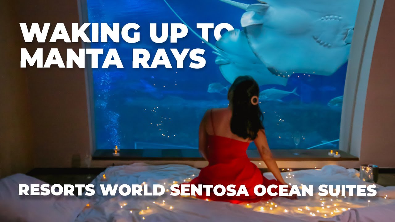Staycation Review Resorts World Sentosa Ocean Suites Youtube