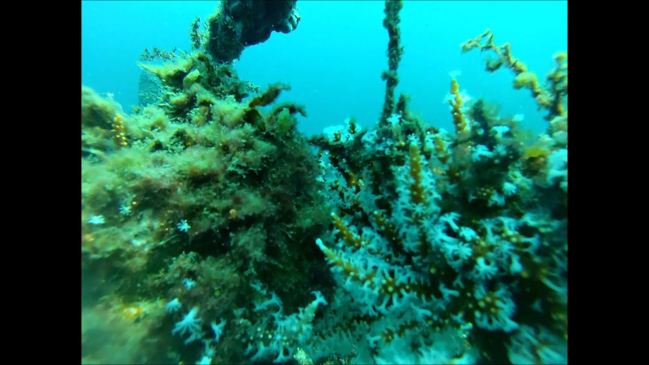 Lena Dive; Octopus Garden Dive YouTube