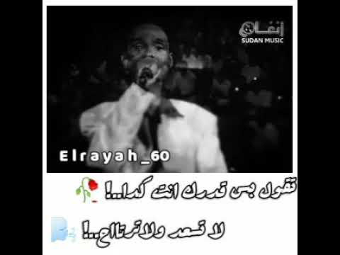 محمود عبدالعزيز الحوت في ستين حالات واتساب